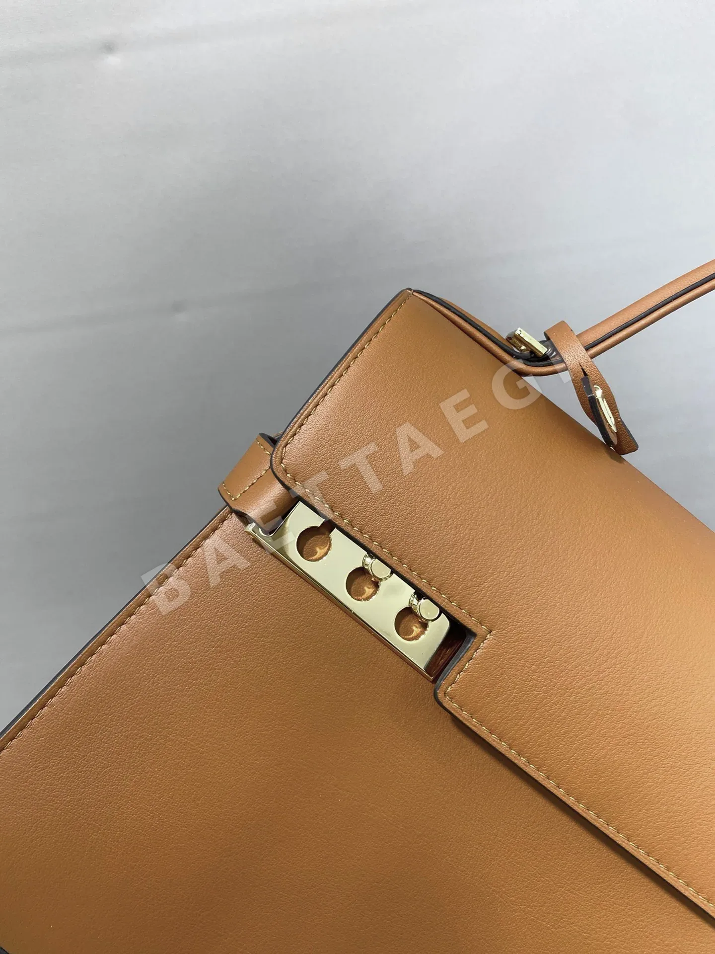 델보 템페트 MM 스위프트 카프스킨 가방 상세 이미지 4