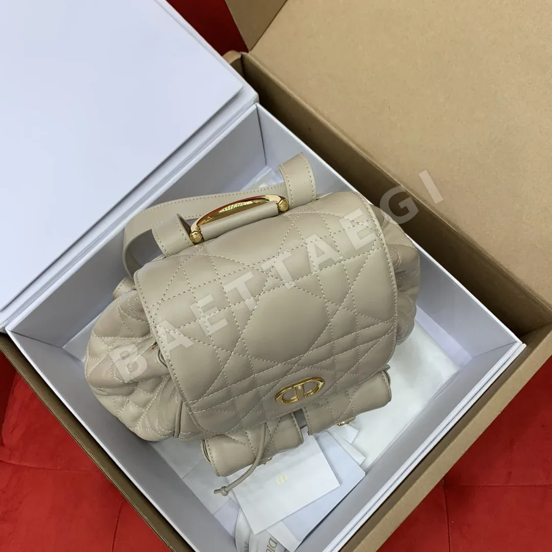 디올 카로 램스킨 백팩 상세 이미지 5