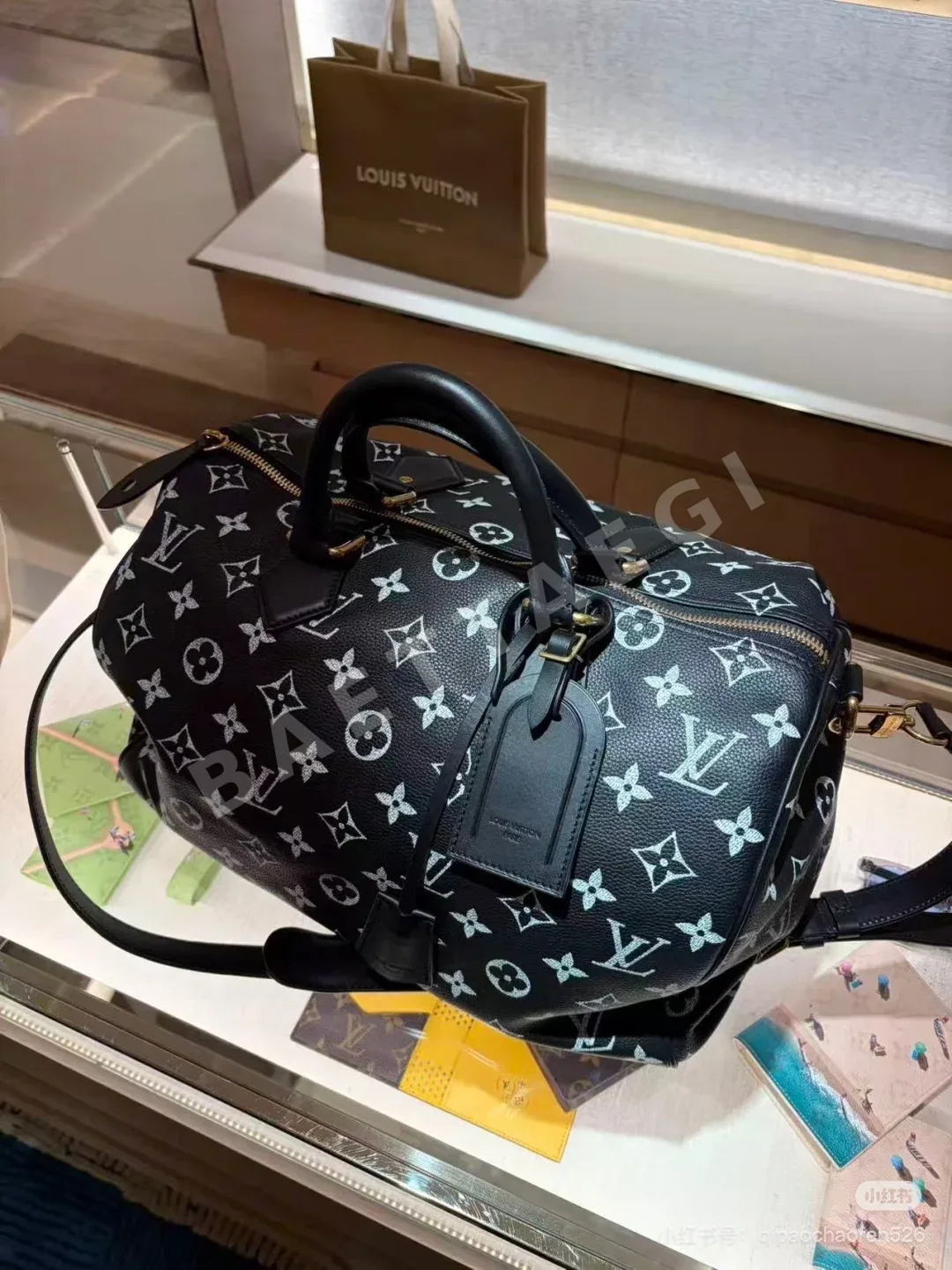 루이비통 버드케이지 가방 상세 이미지 3