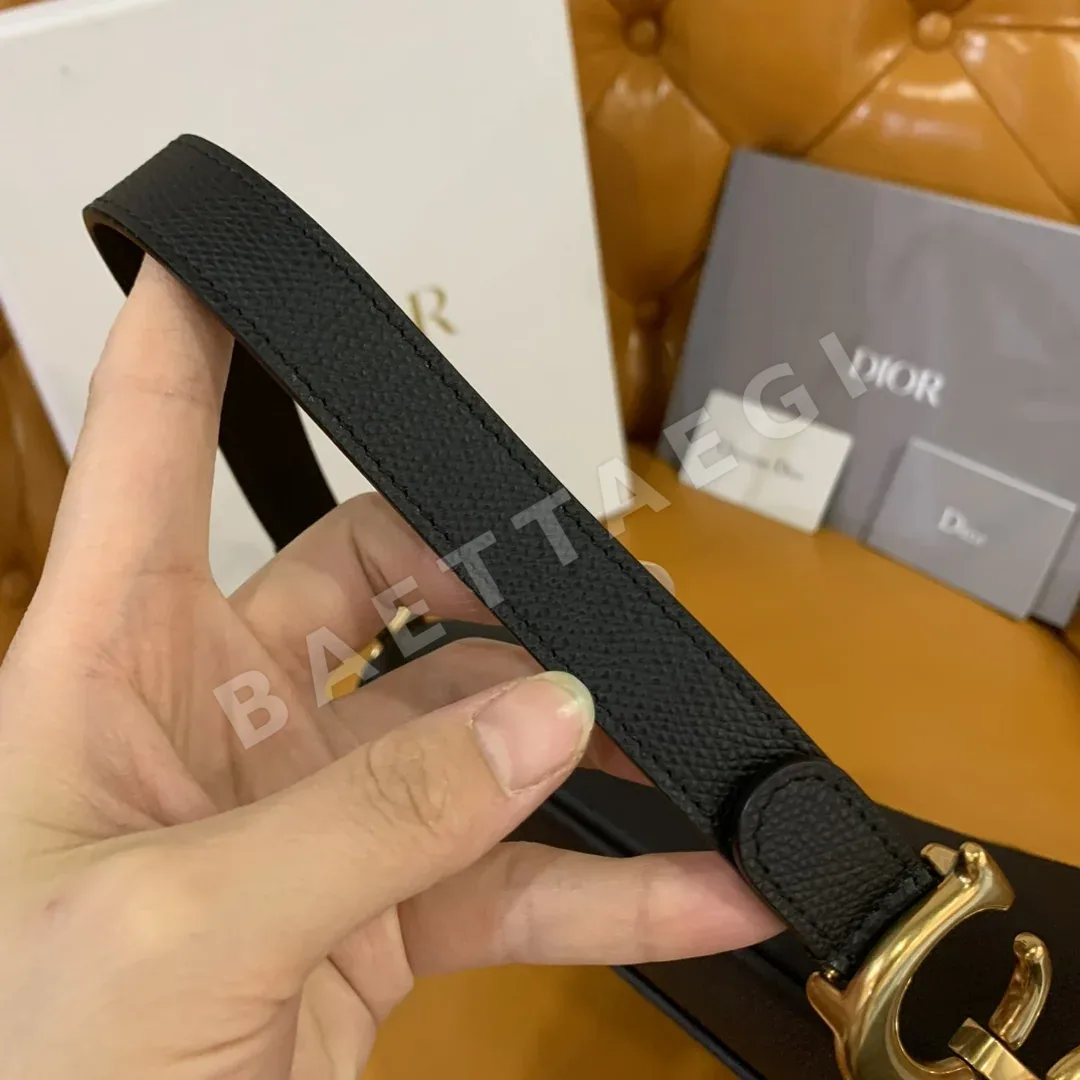 디올 새들백 가방 상세 이미지 5
