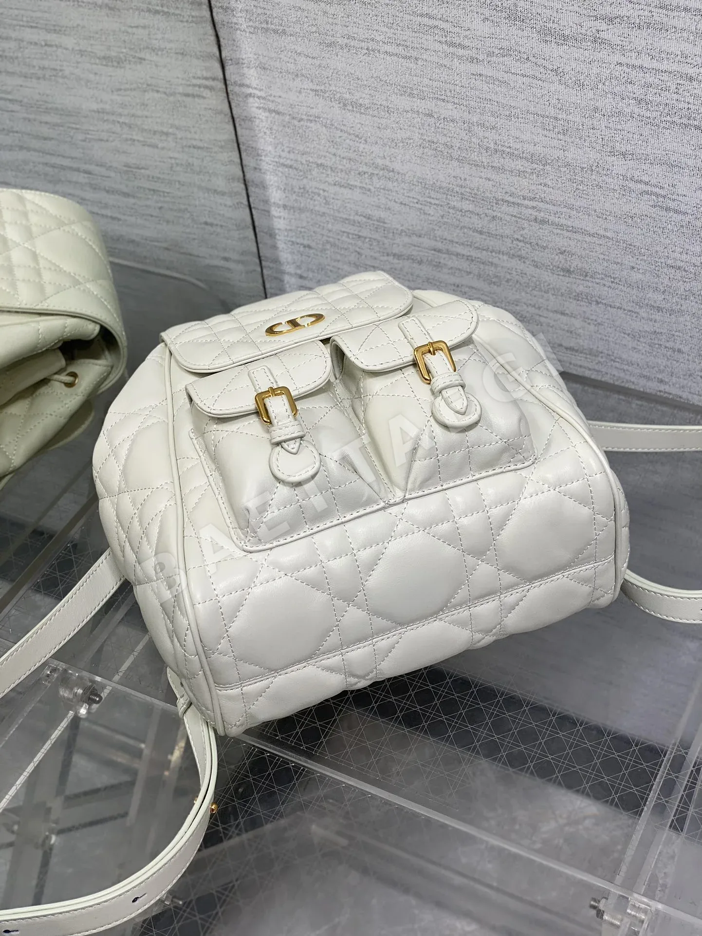 디올 카로 램스킨 백팩 상세 이미지 6
