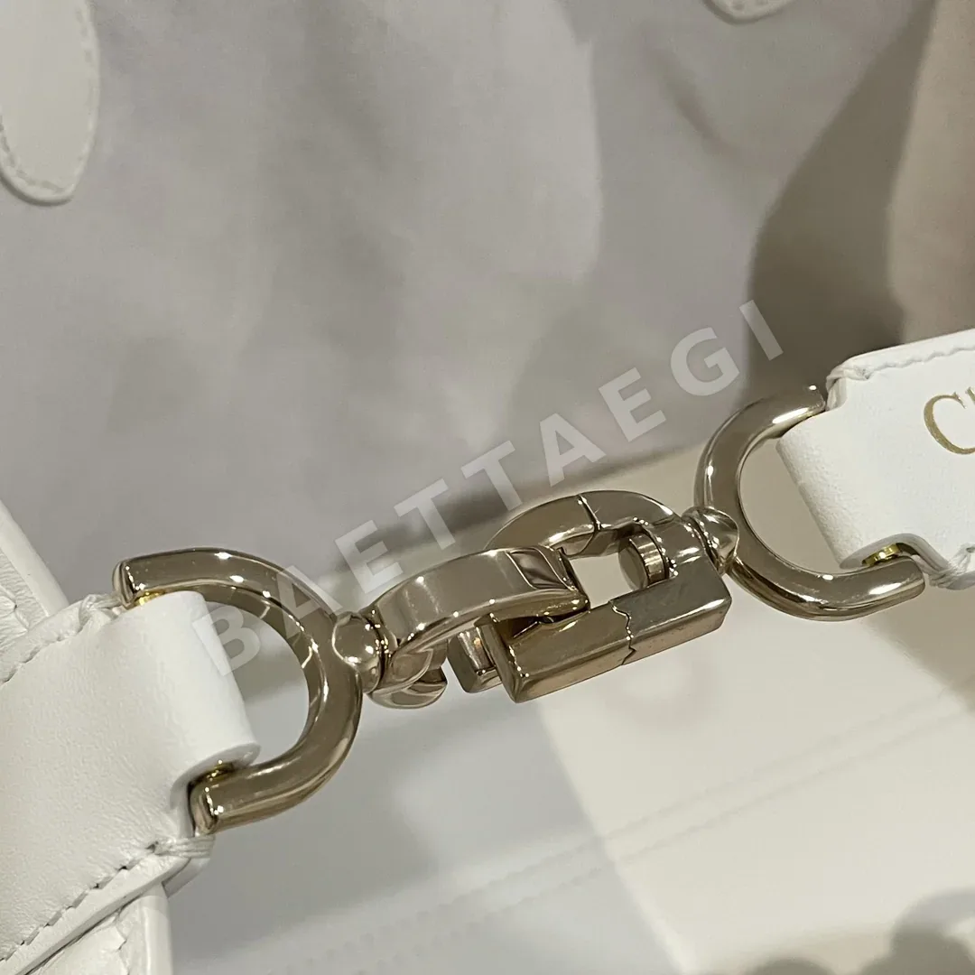 디올 뚜주흐 핸드백 상세 이미지 5