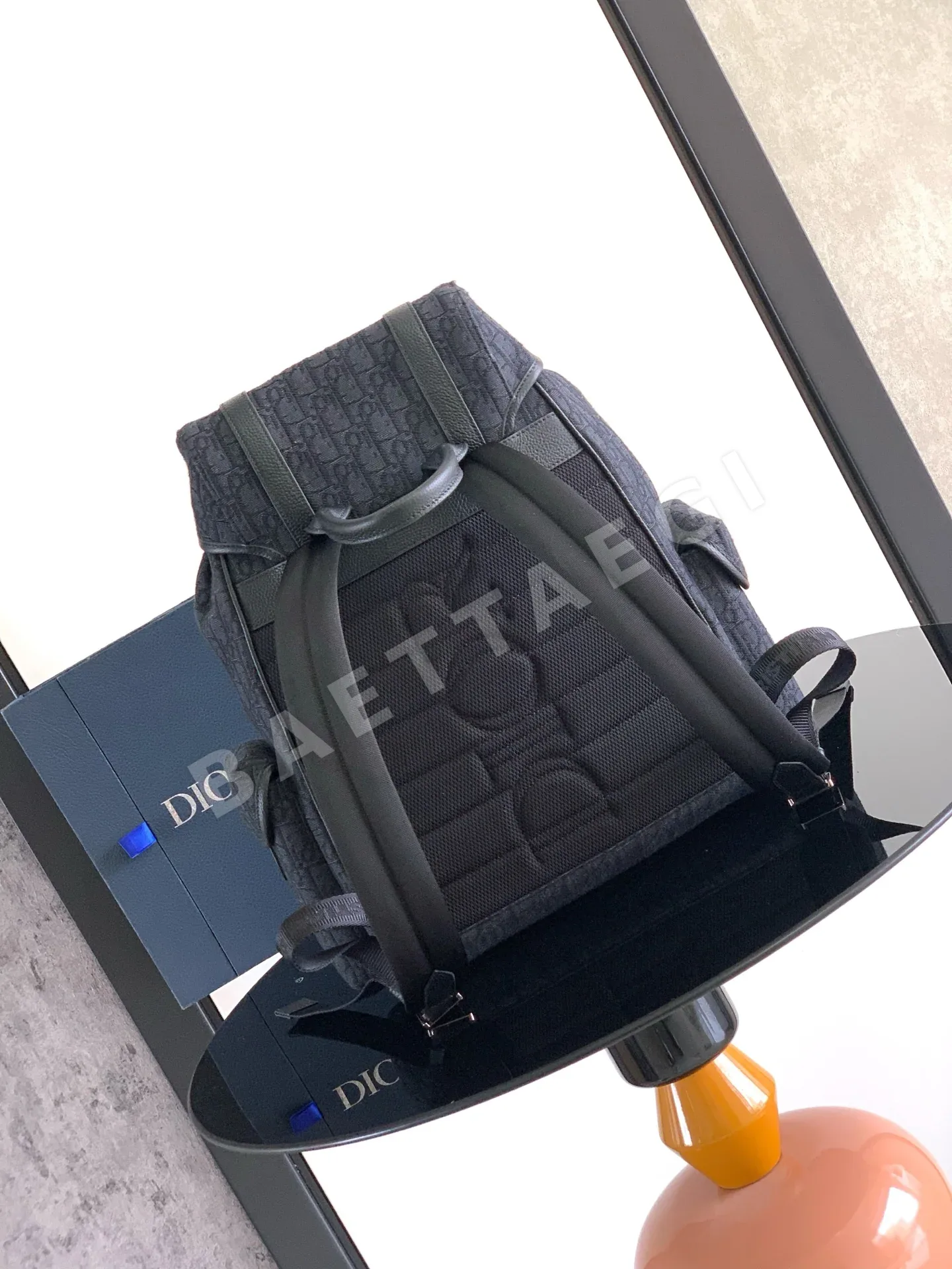 디올 히트 더 로드 백팩 상세 이미지 3