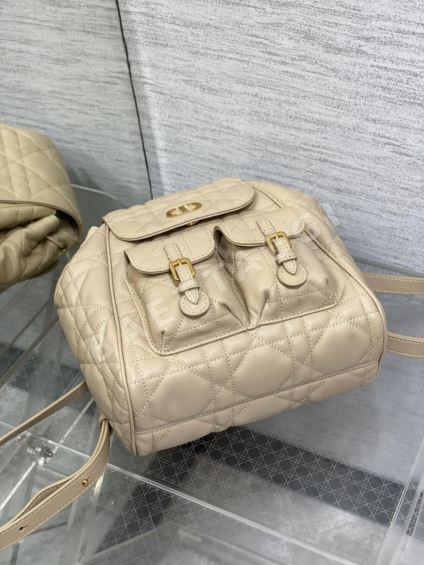 디올 카로 램스킨 백팩 상세 이미지 6