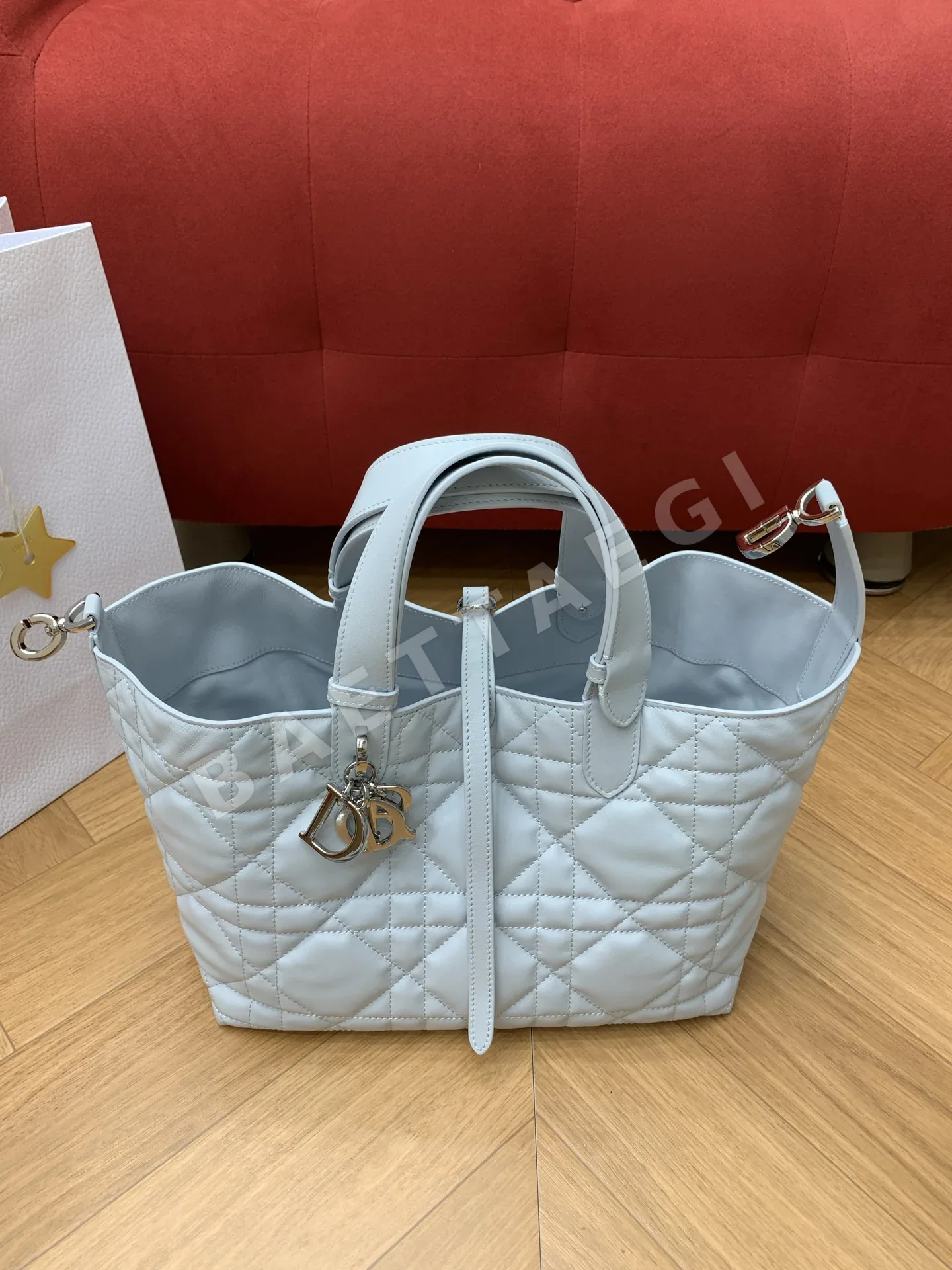 디올 세스트 버킷백 상세 이미지 2
