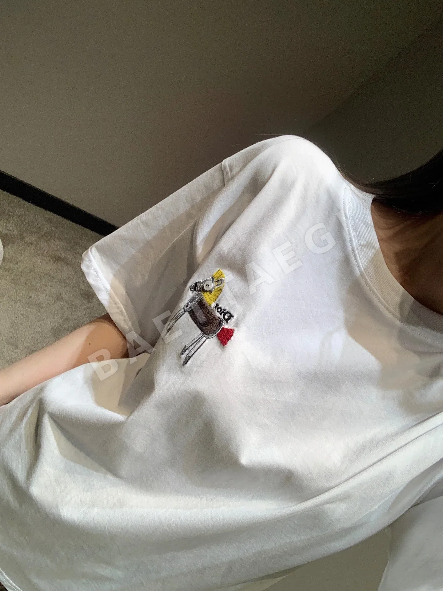 디올 포니 자수 오버사이즈 여성 반팔 티셔츠 상세 이미지 5