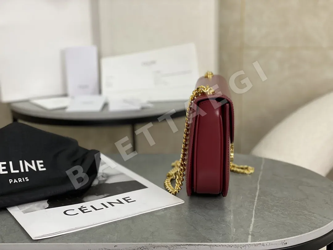 셀린느 개선문 가죽 체인 새들 백 상세 이미지 3