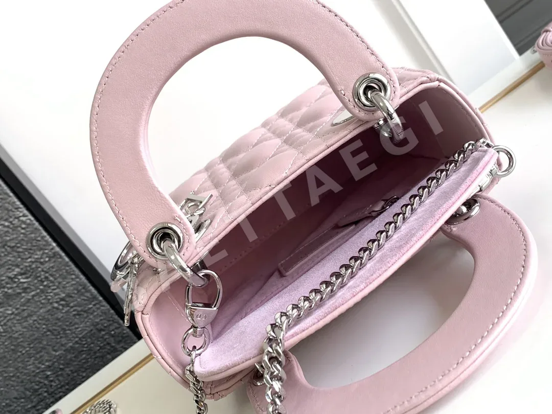 디올 레디 마이 ABC 램스킨 핸드백 상세 이미지 8