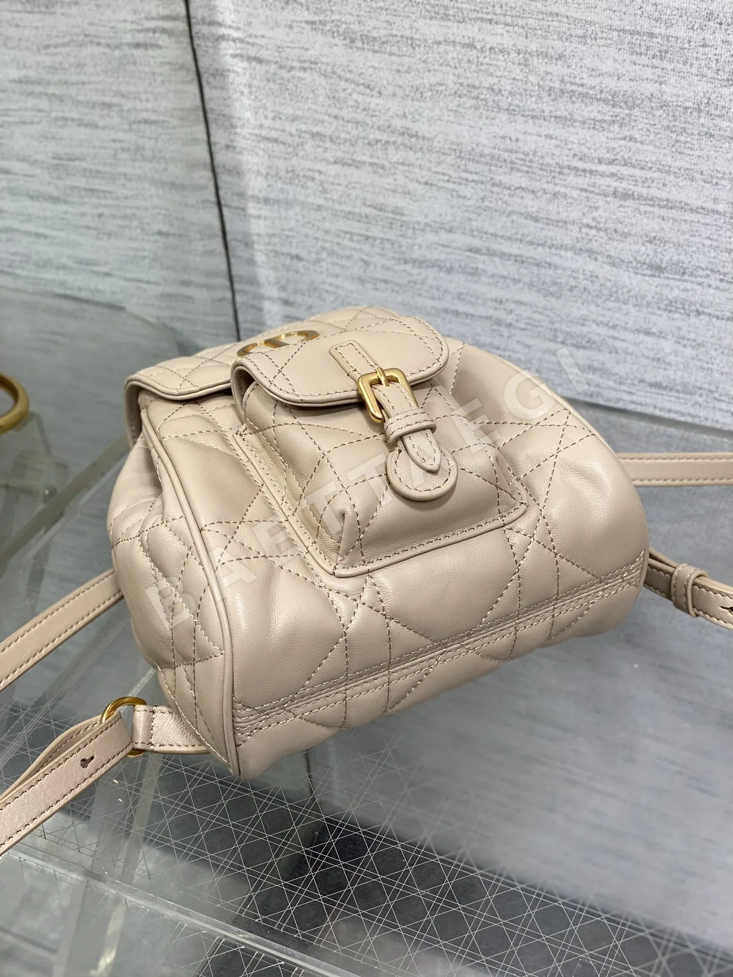 디올 카로 램스킨 백팩 상세 이미지 6
