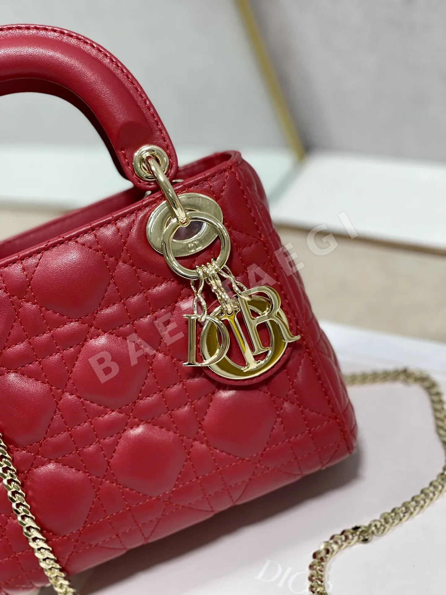 디올 레디 백 양가죽 핸드백 상세 이미지 3