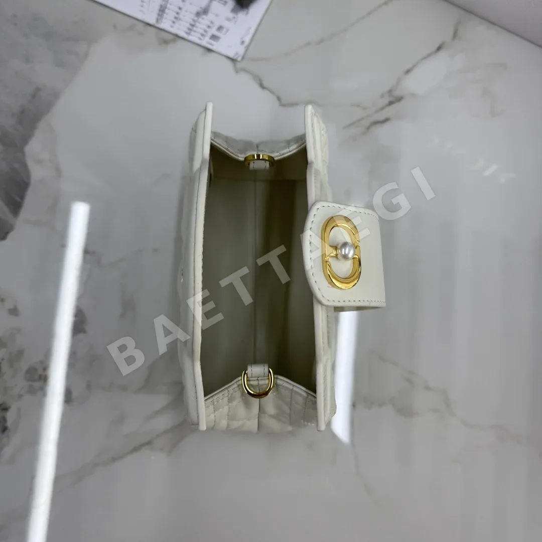 디올 카나쥬 램스킨 미니 체인 핸드백 상세 이미지 8