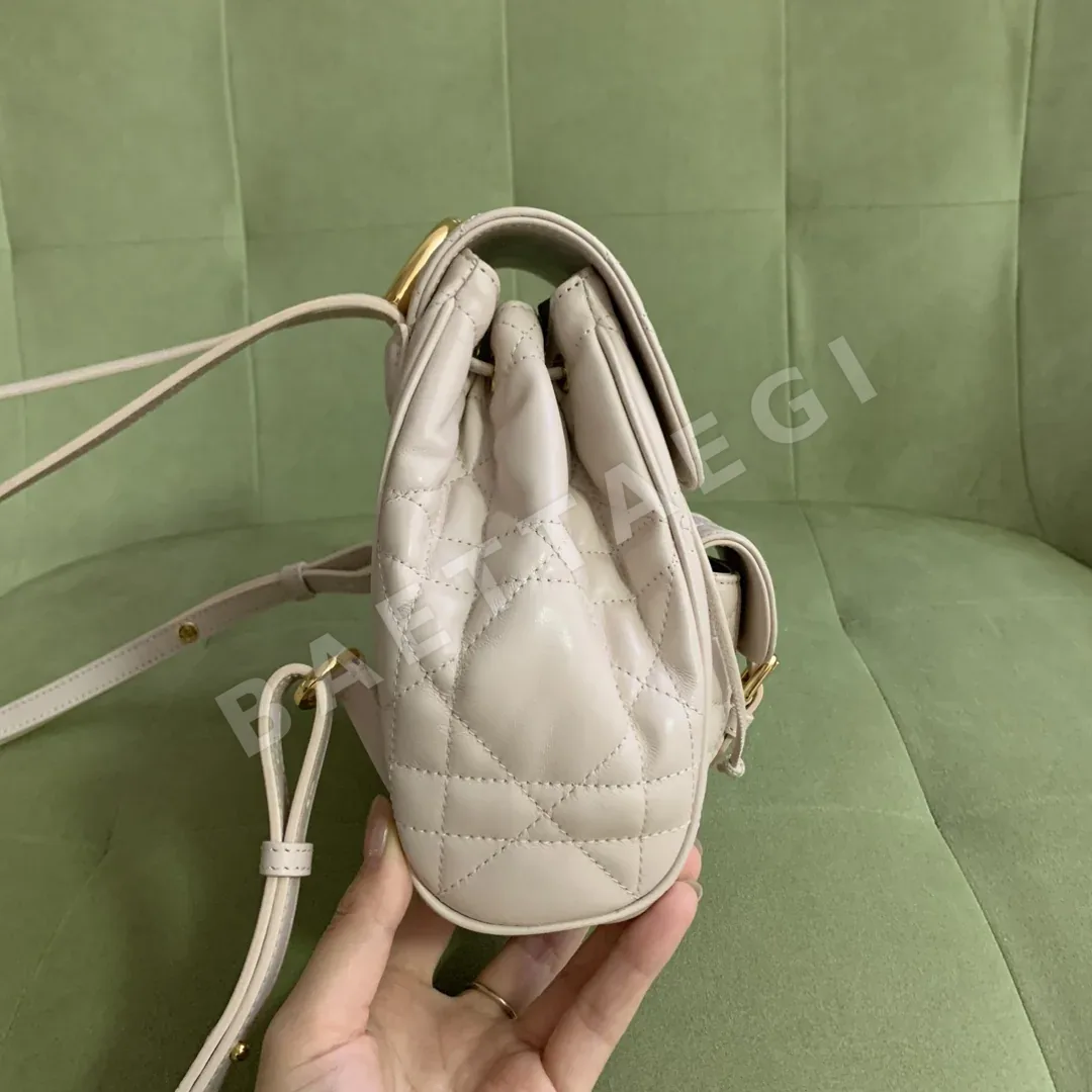 디올 카로 램스킨 백팩 스몰 핑크 상세 이미지 2