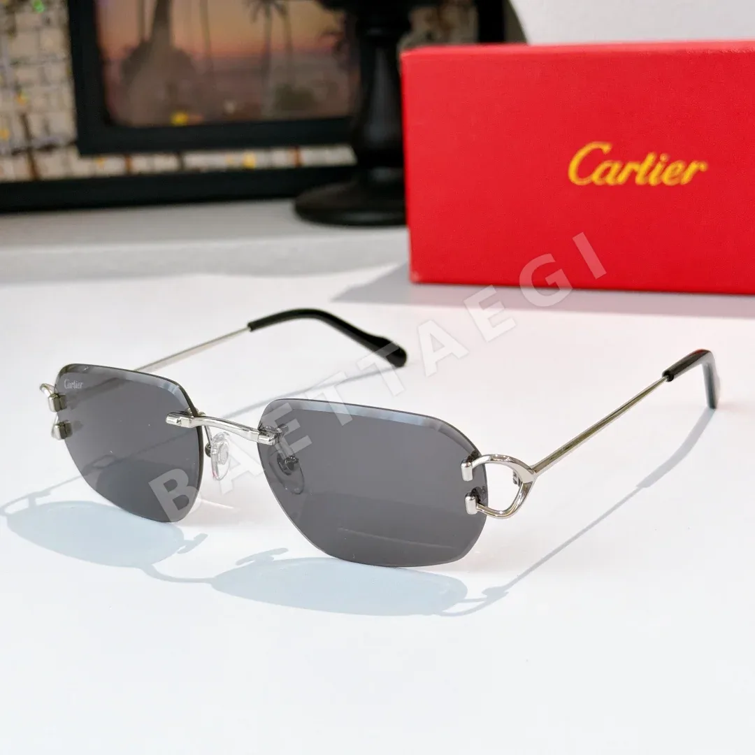 까르띠에 선글라스 72160 Cartier Sunglasses 상세 이미지 3