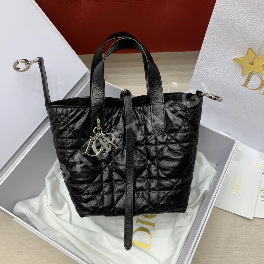 디올 뚜주흐 버티컬 스몰 가죽 가방 190499