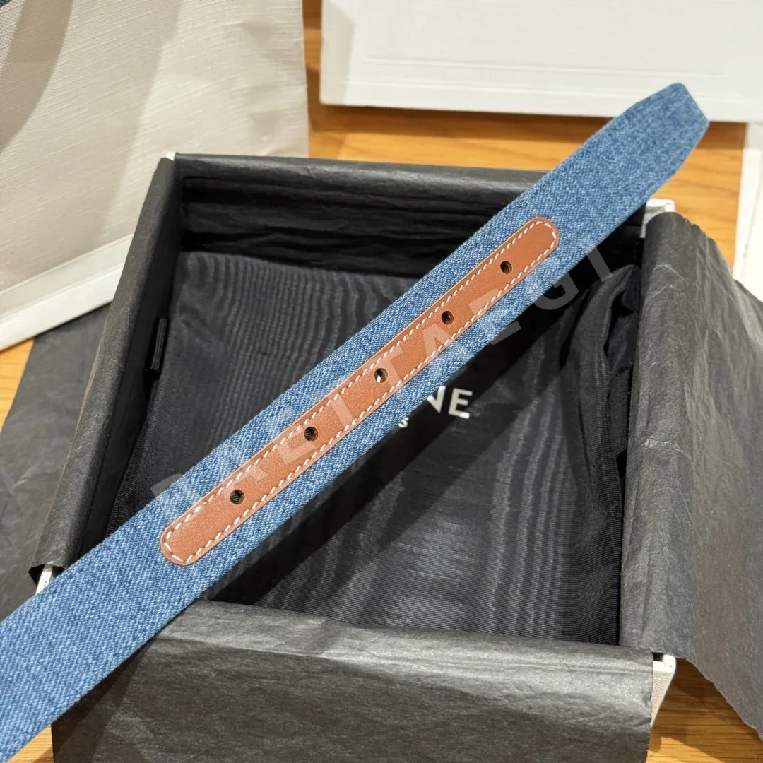 셀린느 개선문 데님 소가죽 골드 버클 벨트 상세 이미지 7