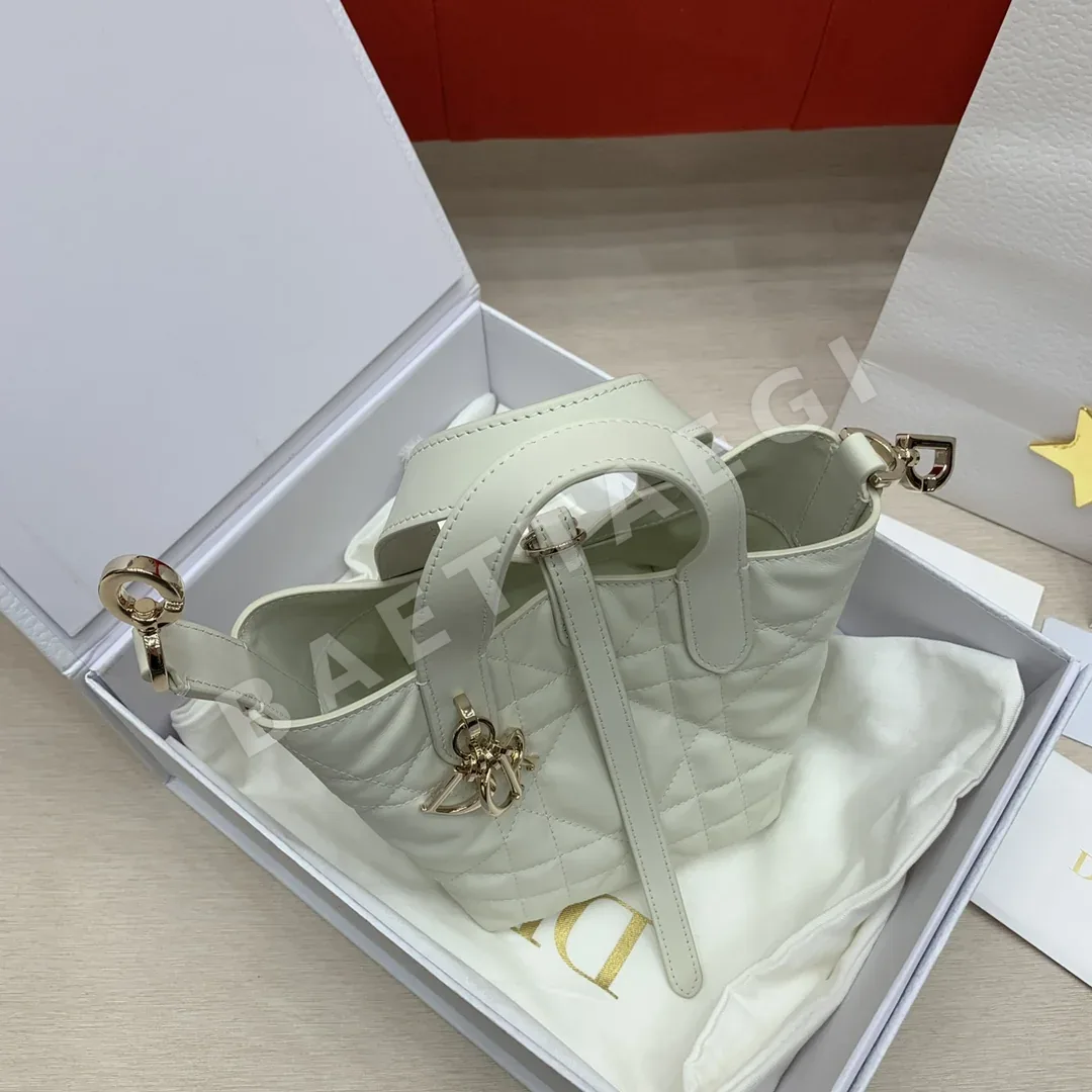 디올 뚜주흐 버티컬 미니 가죽 숄더백 상세 이미지 3
