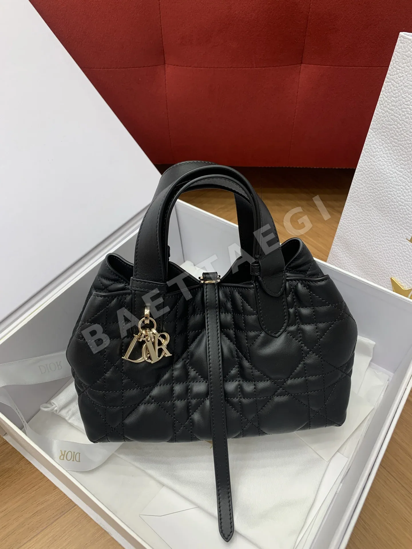 디올 뚜주흐 스몰 소가죽 가방 190553