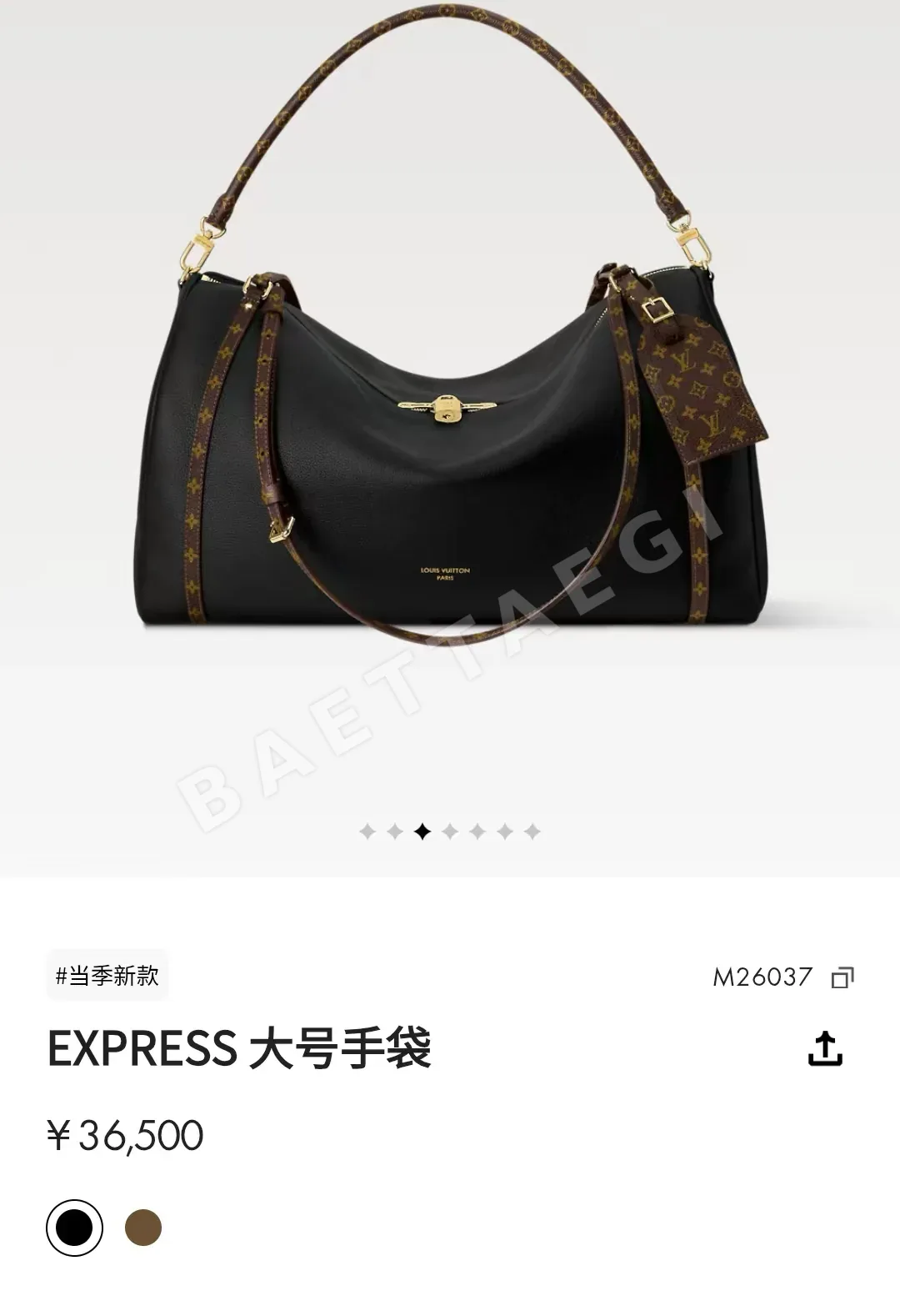 루이비통 버드케이지 가방 M26037 상세 이미지 2
