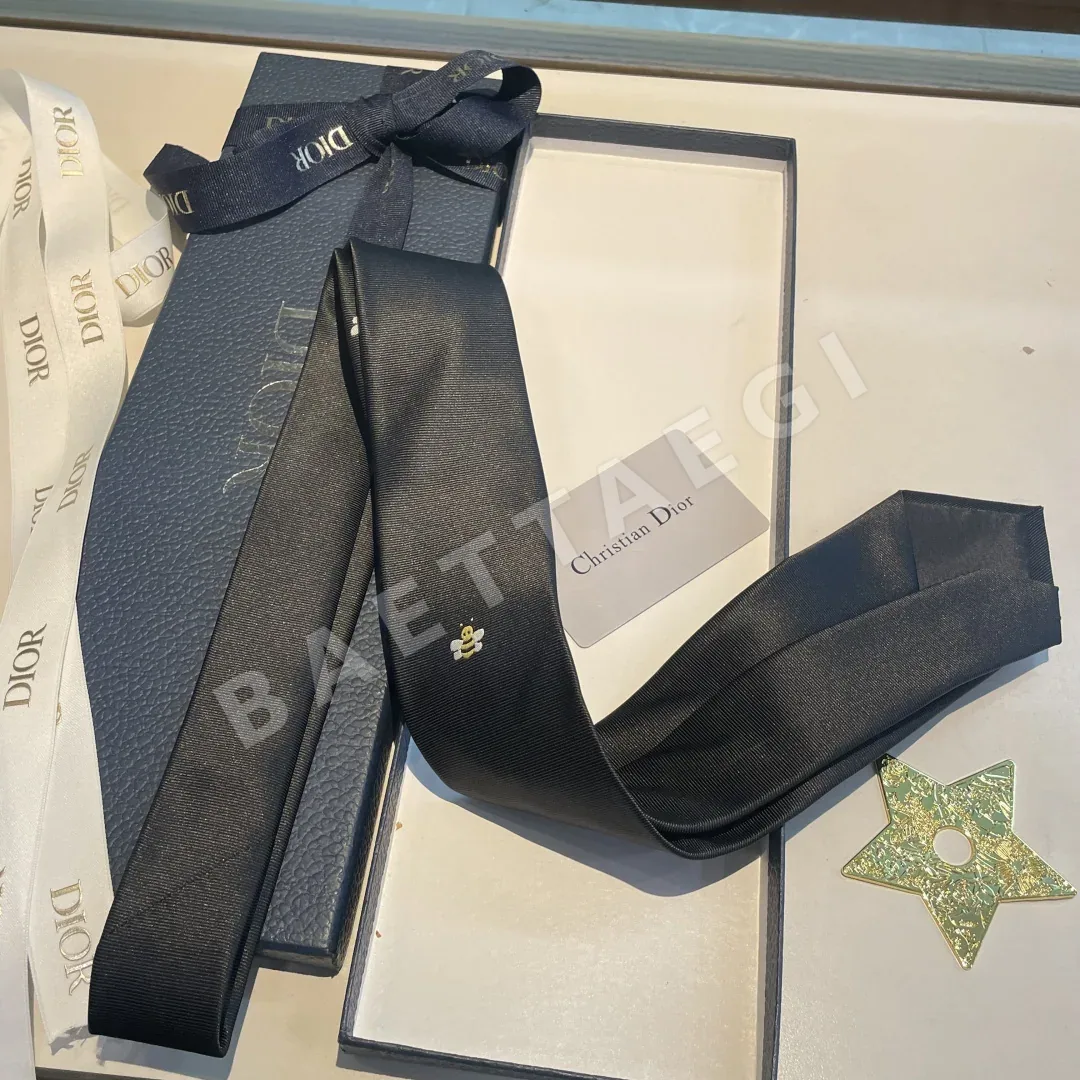 디올 넥타이 89908 Dior Accessories 상세 이미지 2