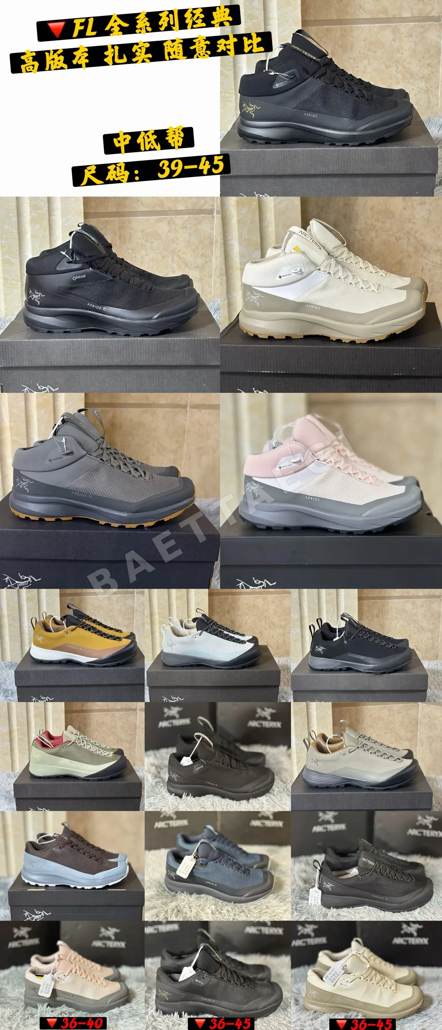 아크테릭스 신발 102633