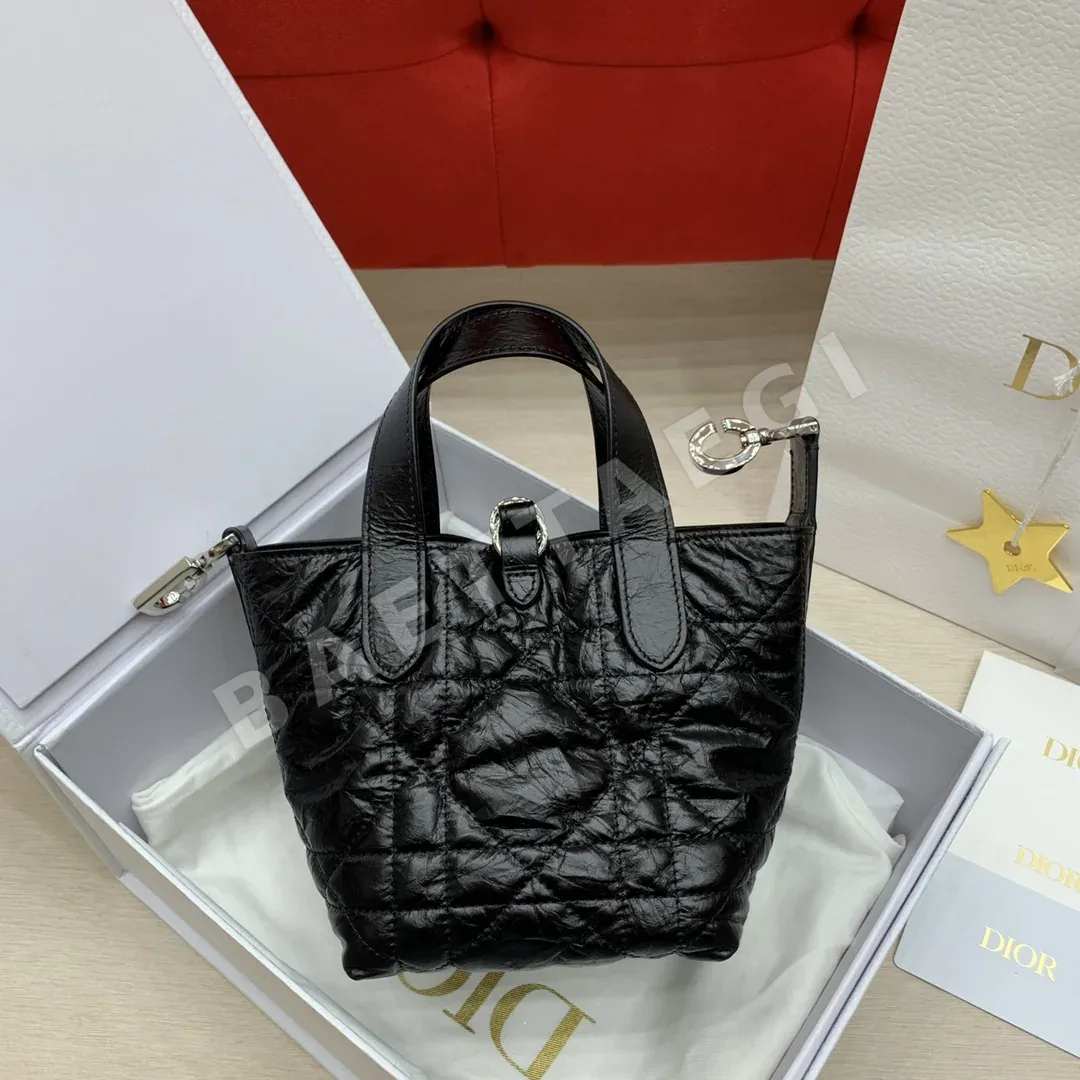 디올 뚜주흐 버티컬 미니 소가죽 가방 상세 이미지 2