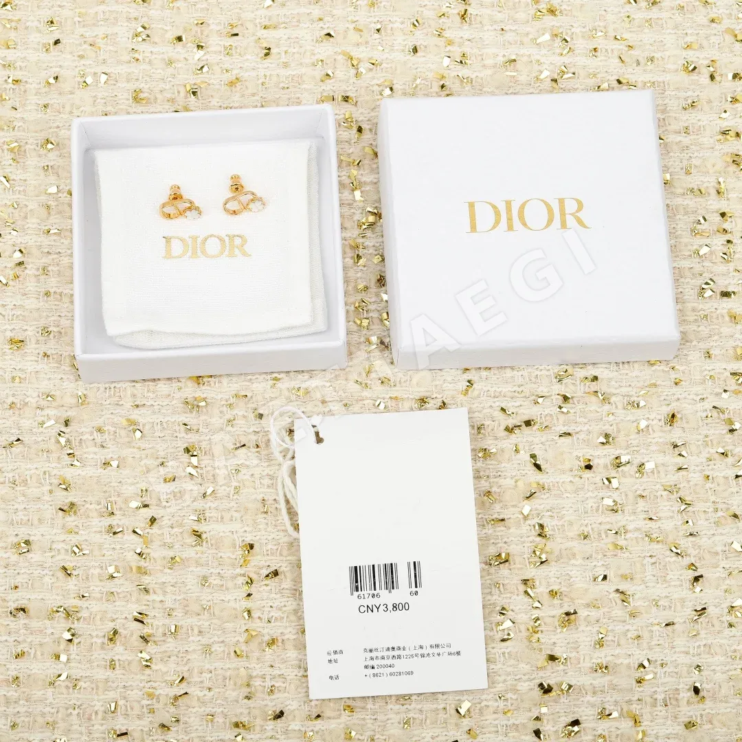디올 귀걸이 60503 Dior Earrings