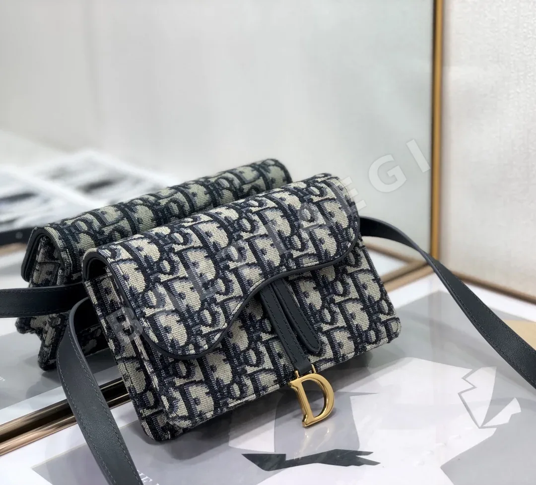 디올 새들 벨트 가방 상세 이미지 2